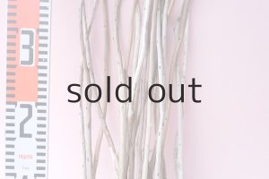 画像9: 棒流木セット