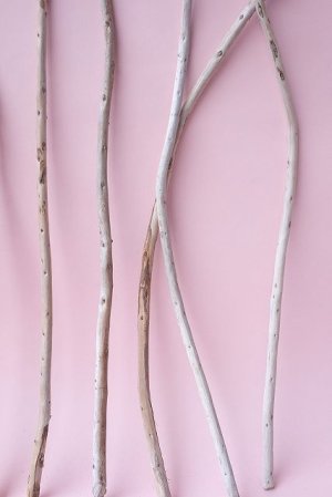 画像6: 棒流木セット