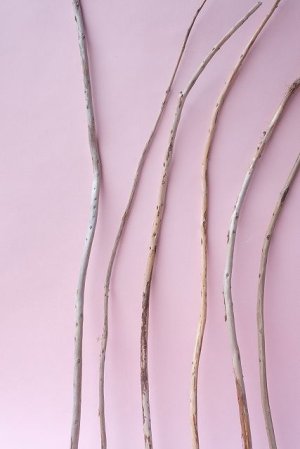 画像5: 棒流木セット