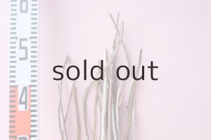 画像8: 棒流木セット