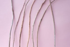 画像3: 棒流木セット