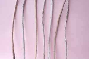 画像3: 棒流木セット