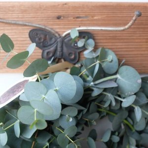 画像2: Dry plants for decor 銀丸葉リース