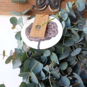 画像9: Dry plants for decor 銀丸葉リース