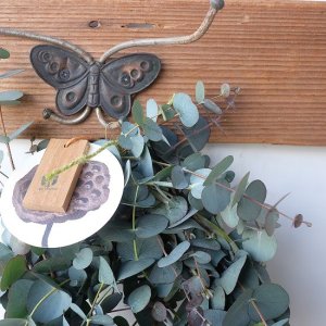 画像2: Dry plants for decor 銀丸葉リース