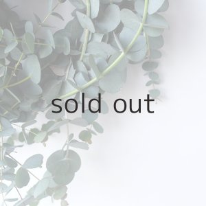 画像6: Dry plants for decor 銀丸葉リース