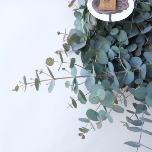 画像4: Dry plants for decor 銀丸葉リース