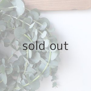 画像7: Dry plants for decor 銀丸葉リース