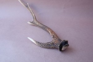 画像6: デコール用二ホンジカの角