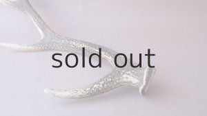 画像8: デコール用二ホンジカの角