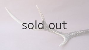 画像9: デコール用二ホンジカの角