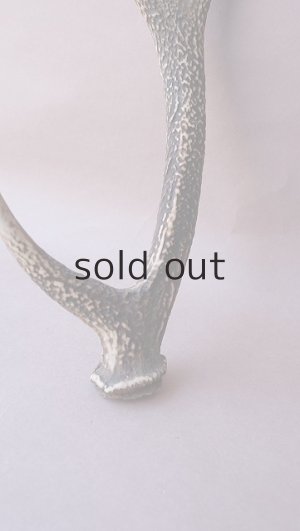 画像5: デコール用二ホンジカの角