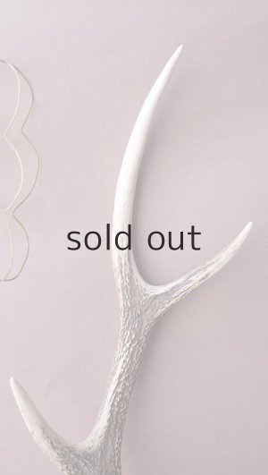 画像4: デコール用二ホンジカの角