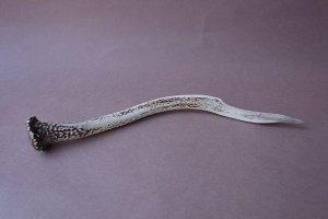 画像4: デコール用二ホンジカの角mini・小鹿