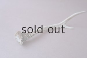 画像6: デコール用二ホンジカの角mini・小鹿