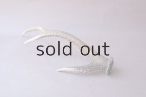 画像6: デコール用二ホンジカの角