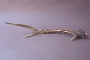 画像4: デコール用二ホンジカの角mini・小鹿