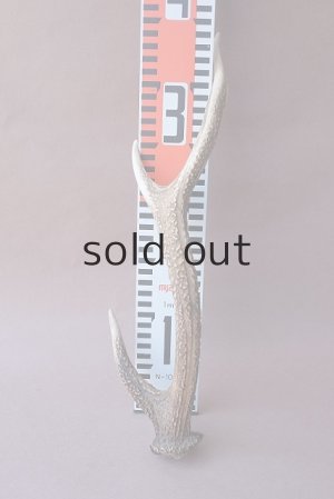 画像10: デコール用二ホンジカの角