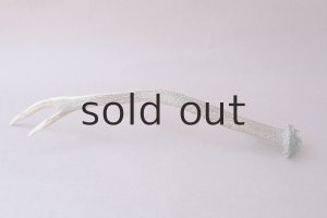 画像5: デコール用二ホンジカの角