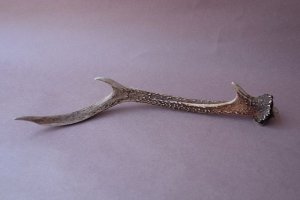 画像4: デコール用二ホンジカの角mini・小鹿