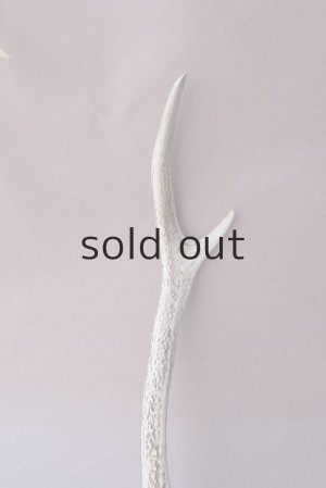 画像3: デコール用二ホンジカの角mini・小鹿