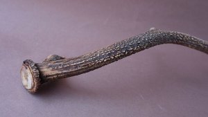 画像8: デコール用二ホンジカの角