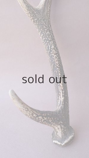 画像2: デコール用二ホンジカの角