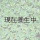 期間・数量限定　「100円多肉」フェアを開催いたします。