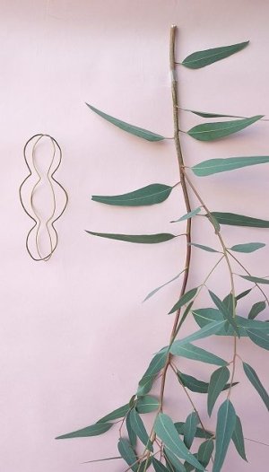 画像2: Dry plants for decor ユーカリ生切り枝（カマルドレンシス）タイプ700〜1000mm