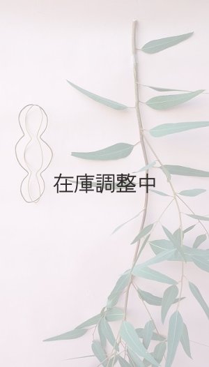 画像2: Dry plants for decor ユーカリ生切り枝（カマルドレンシス）タイプ700〜1000mm