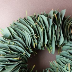 画像4: Dry plants for decor ユーカリリーフリース
