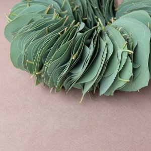 画像2: Dry plants for decor ユーカリリーフリース