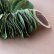 画像3: Dry plants for decor ユーカリリーフリース (3)