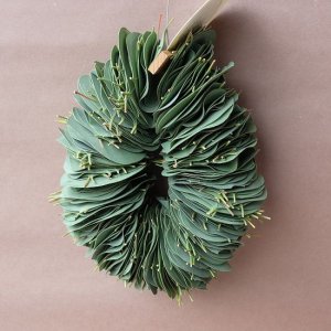画像5: Dry plants for decor ユーカリリーフリース