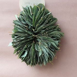 画像6: Dry plants for decor ユーカリリーフリース