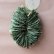 画像5: Dry plants for decor ユーカリリーフリース (5)