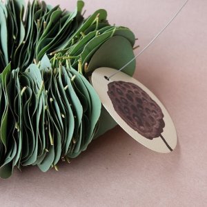 画像3: Dry plants for decor ユーカリリーフリース