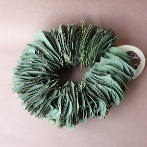 画像1: Dry plants for decor ユーカリリーフリース