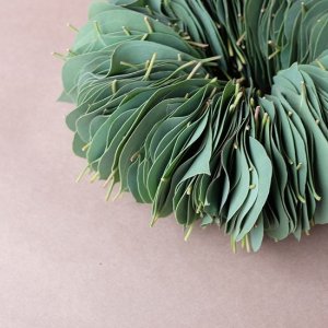 画像2: Dry plants for decor ユーカリリーフリース