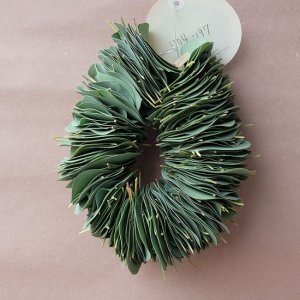 画像5: Dry plants for decor ユーカリリーフリース