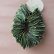 画像5: Dry plants for decor ユーカリリーフリース (5)