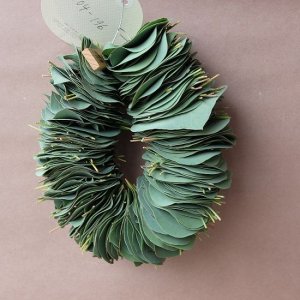 画像5: Dry plants for decor ユーカリリーフリース