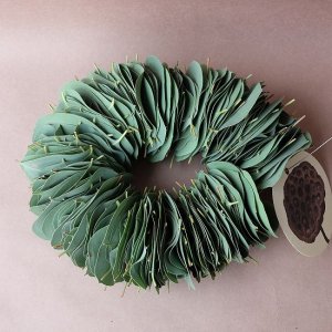 画像1: Dry plants for decor ユーカリリーフリース