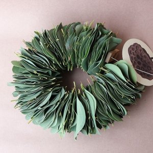 画像1: Dry plants for decor ユーカリリーフリース