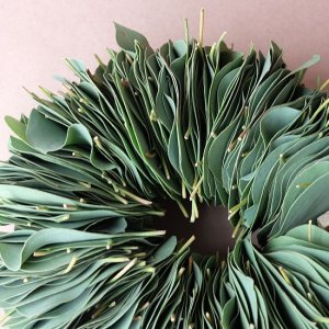 画像4: Dry plants for decor ユーカリリーフリース