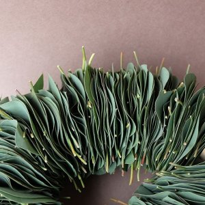 画像4: Dry plants for decor ユーカリリーフリース