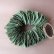画像1: Dry plants for decor ユーカリリーフリース (1)