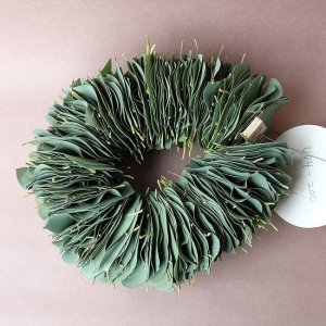 画像1: Dry plants for decor ユーカリリーフリース