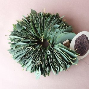 画像1: Dry plants for decor ユーカリリーフリース