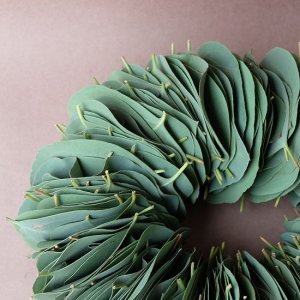 画像4: Dry plants for decor ユーカリリーフリース